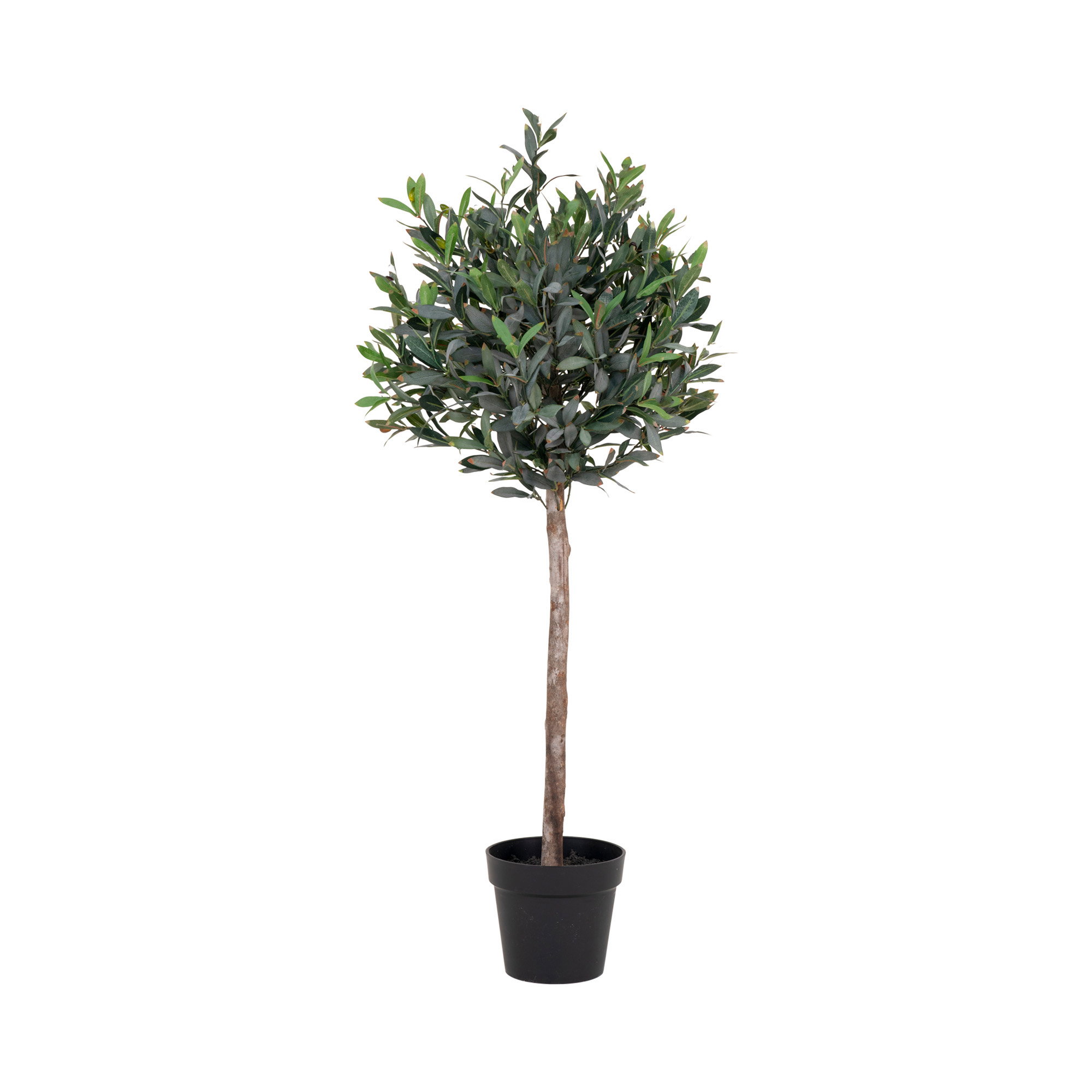 Woonaccessoire Taldund Polyester Groen