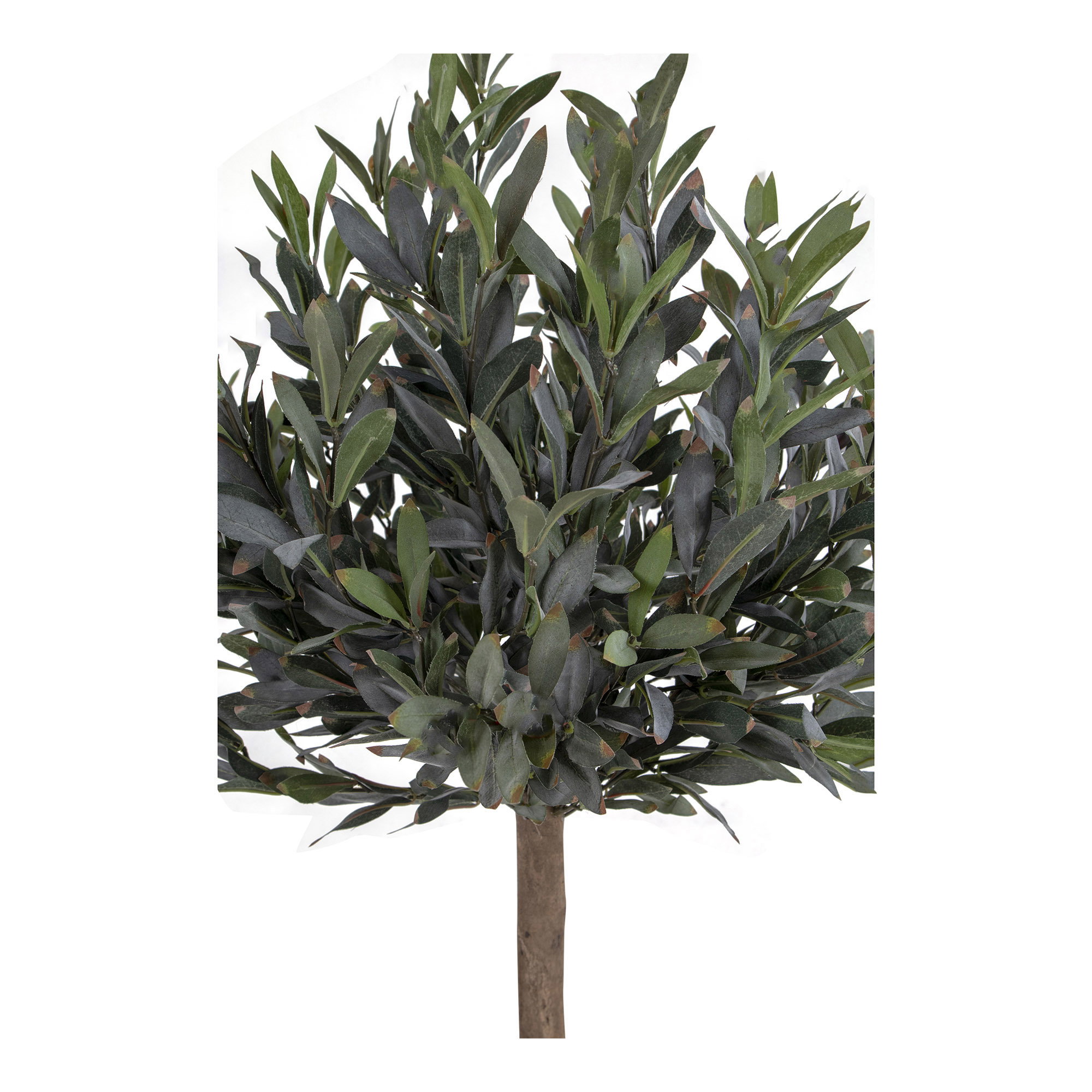 Woonaccessoire Taldund Polyester Groen - Afbeelding 2