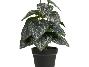Kunstplant Skiemoro Kunststof Groen H33 cm