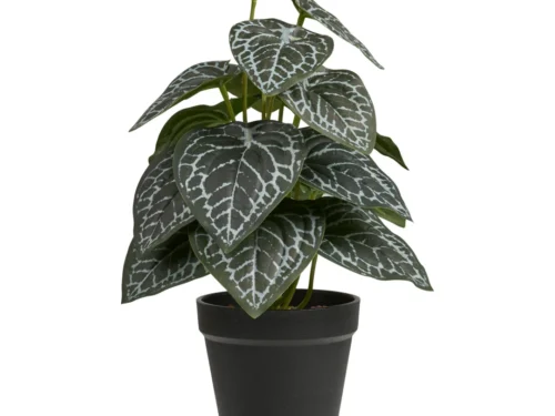 Kunstplant Skiemoro in zwarte pot met groen gemarmerde bladeren, 33 cm hoog, van kunststof