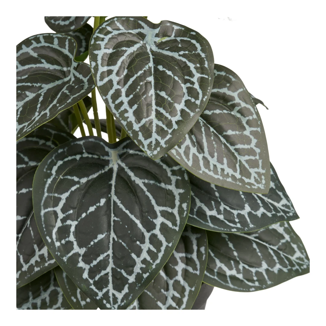 Kunstplant Skiemoro Kunststof Groen H33 cm - Afbeelding 2