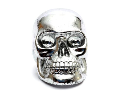 Beeld Fannik polyresin zilver, gedetailleerd schedelbeeld met glanzende moderne afwerking
