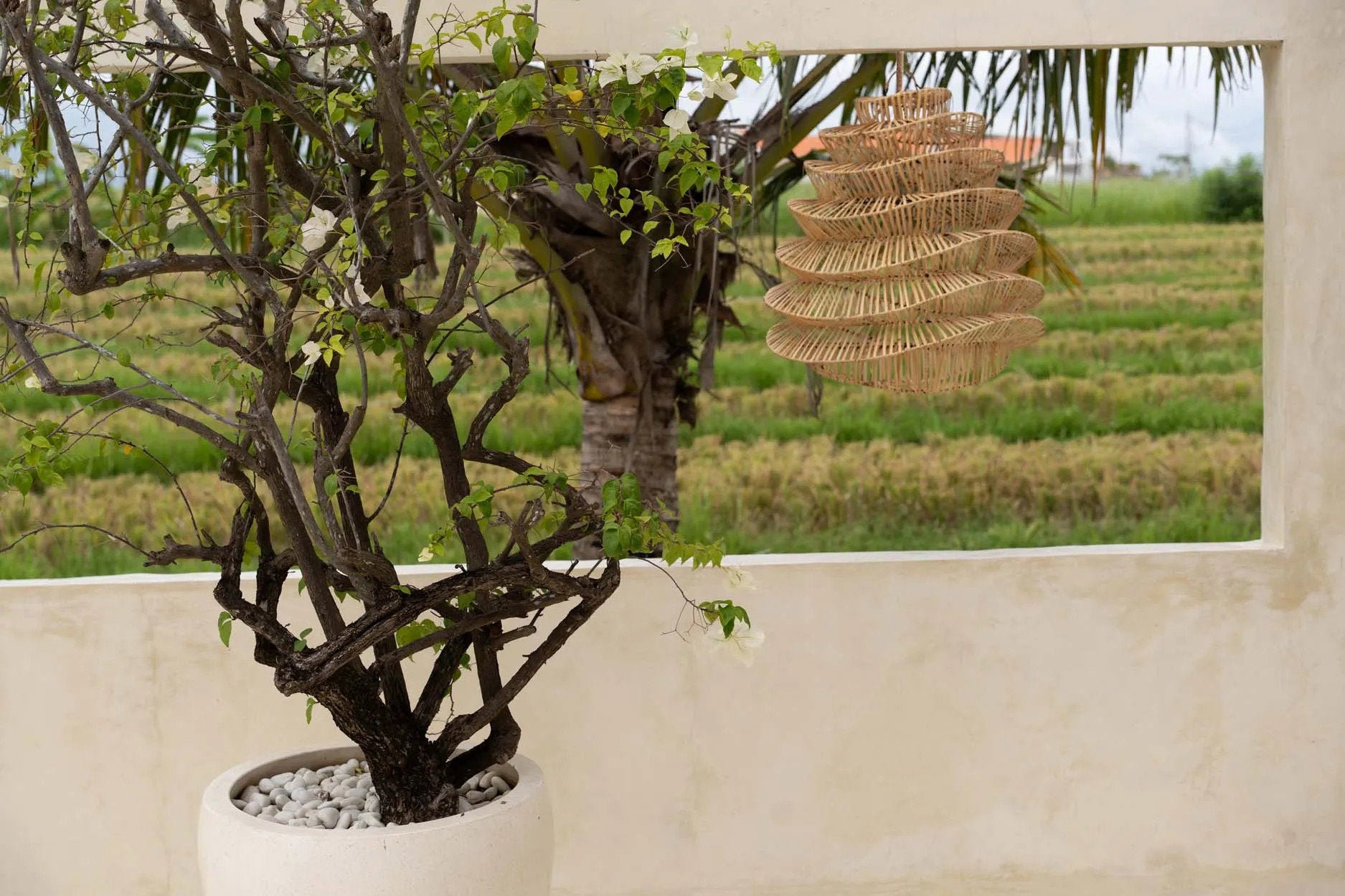 Decoratiehanger Klaullora Rotan Naturel - Afbeelding 3