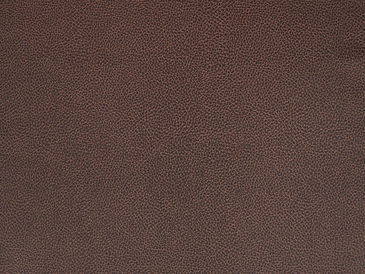 Kussen Tientia Bruin 43x42 cm - Afbeelding 5
