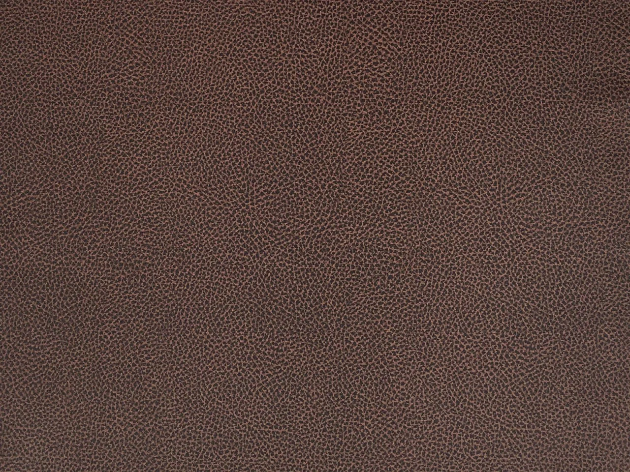Kussen Tientia Bruin 43x42 cm - Afbeelding 5