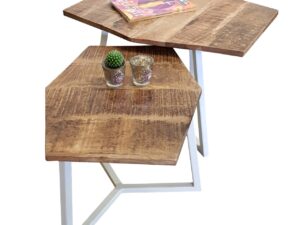 Salontafel Nistero Metaal - Set van 2