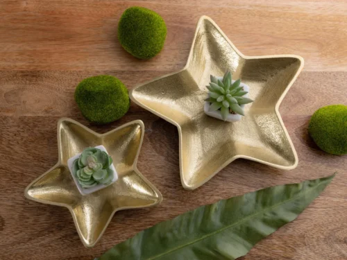 Schaal Centon aluminium zilver set van 2, stervormige decoratieve schalen met gouden glans en plantenaccenten