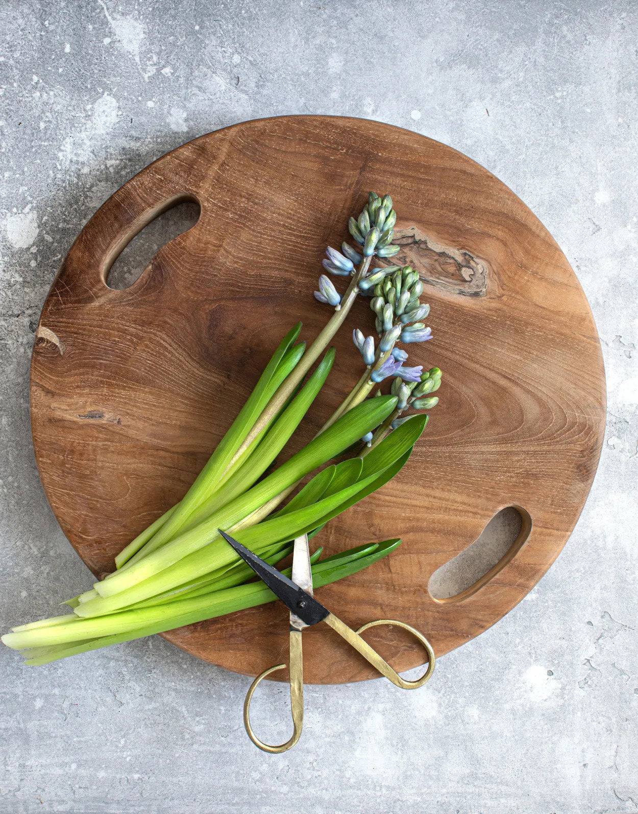 Teakwortelbak Stebora Teak Naturel - Afbeelding 4