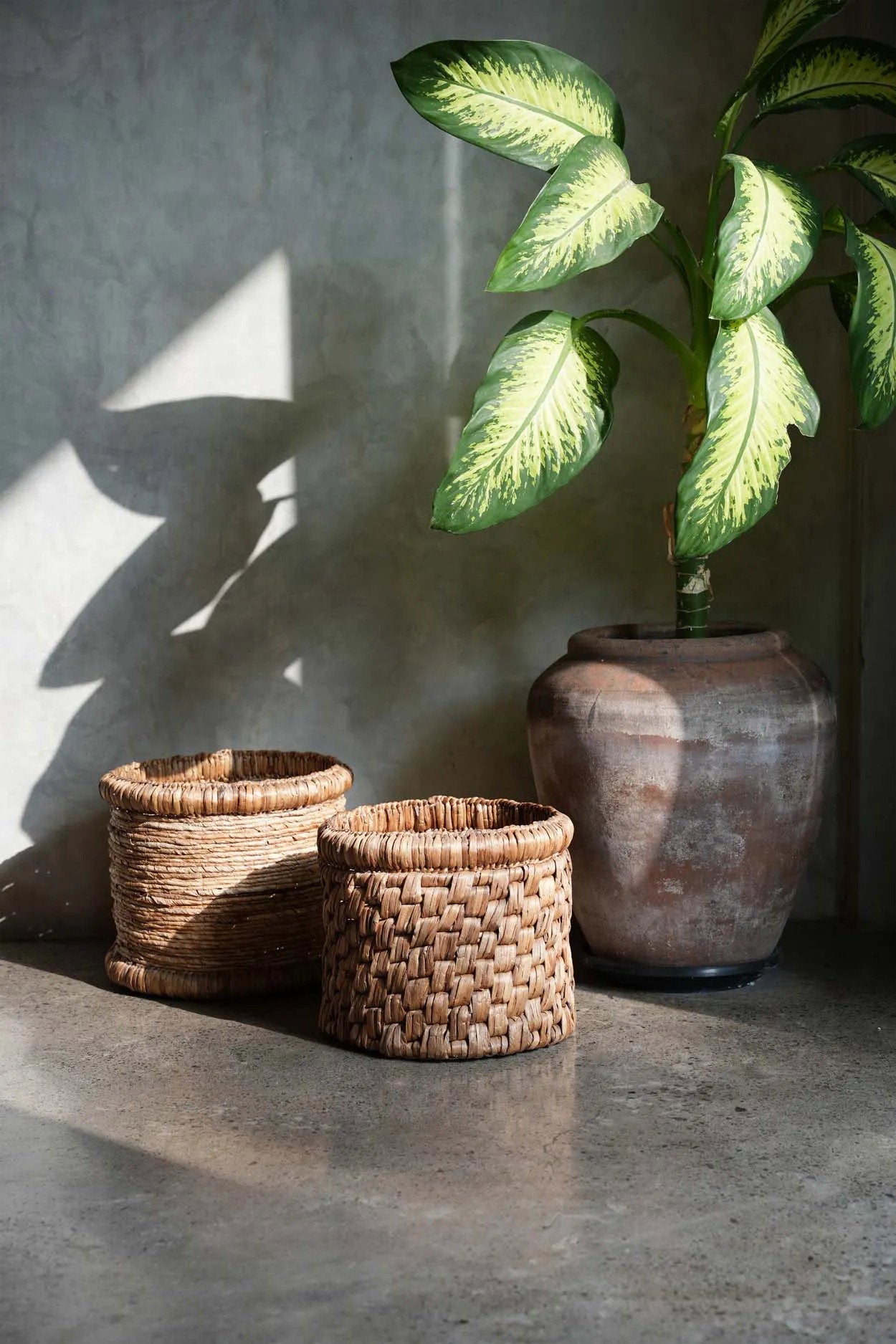 Mand Traudes Waterhyacint Naturel - Afbeelding 4