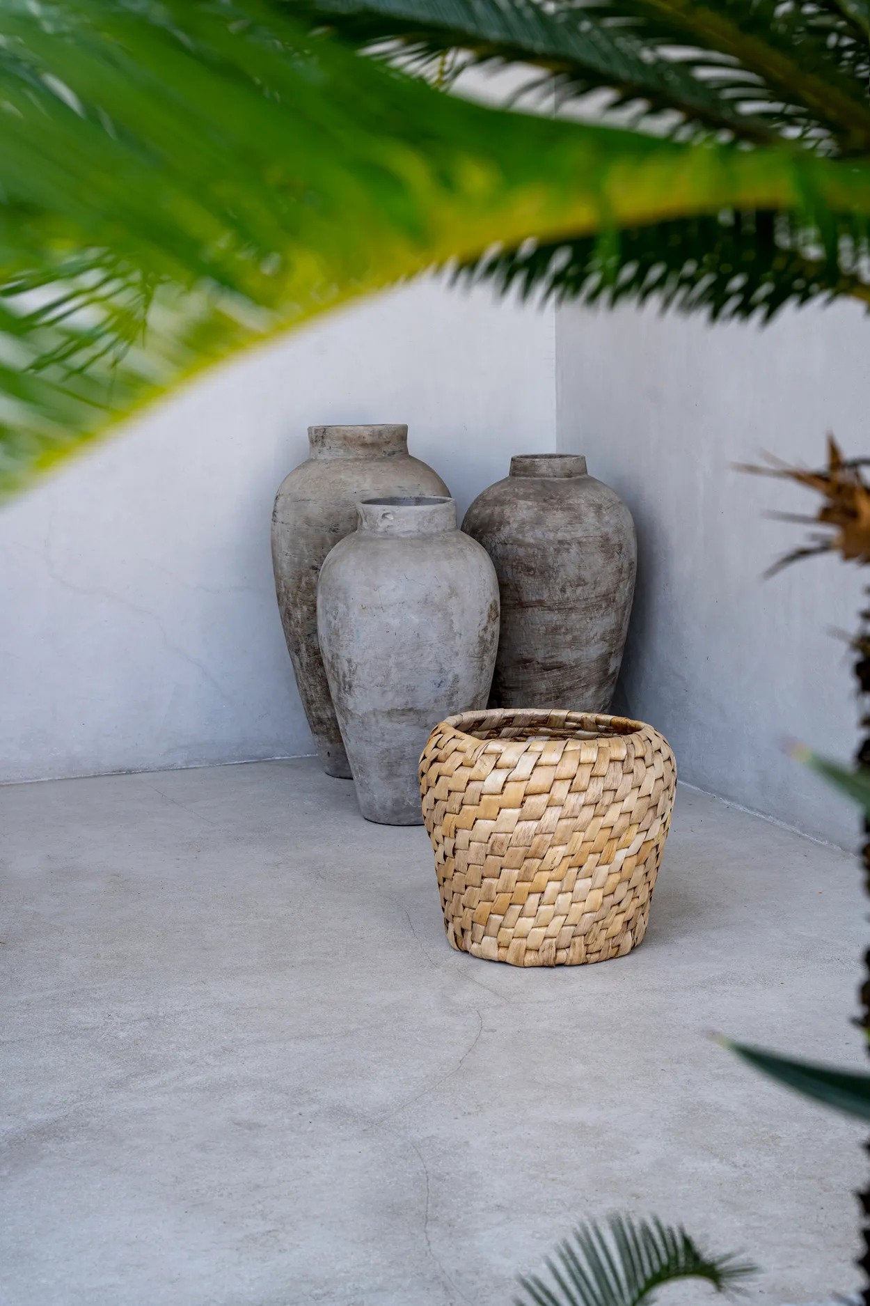 Mand Fiennonte Naturel - Afbeelding 4