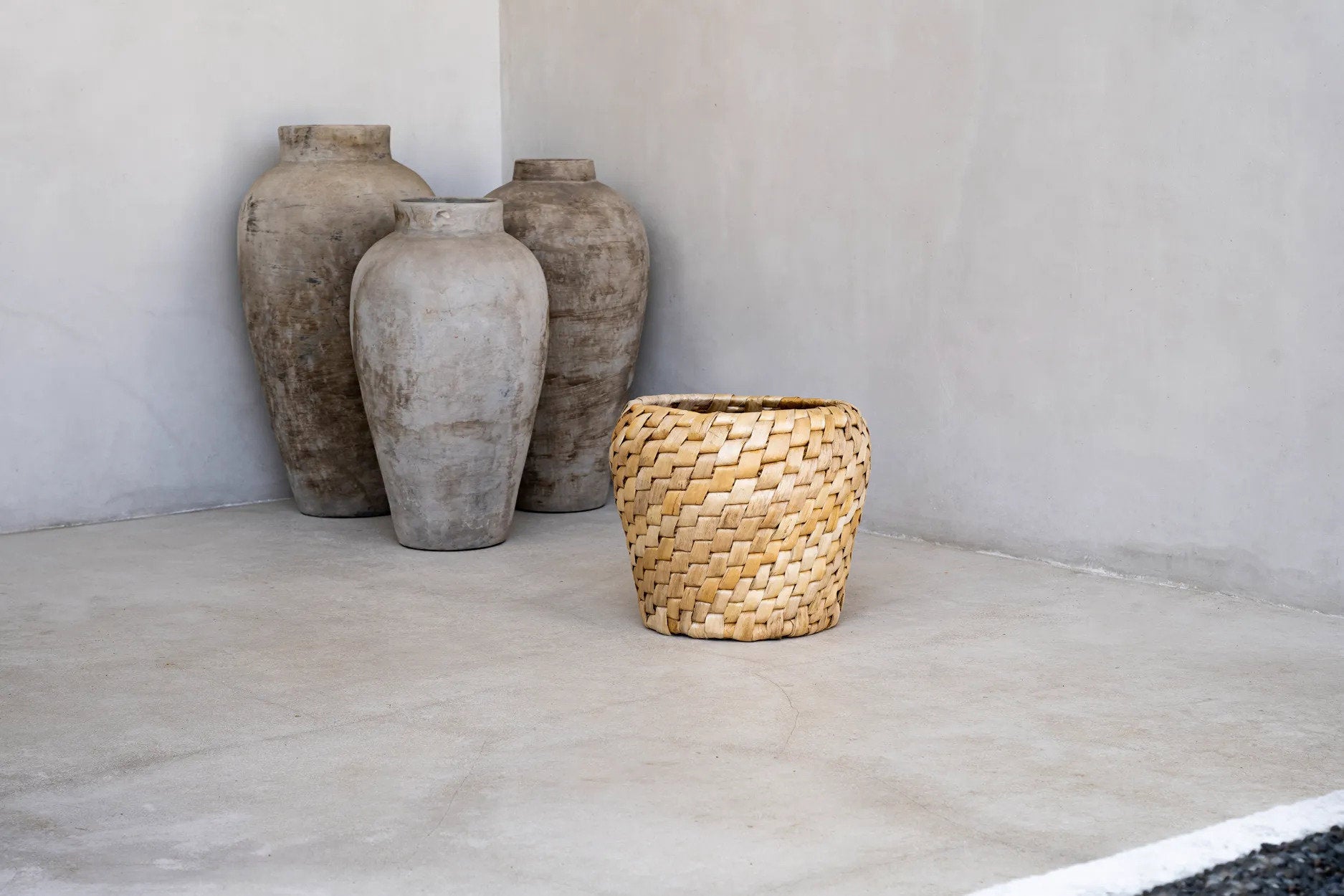 Mand Fiennonte Naturel - Afbeelding 5