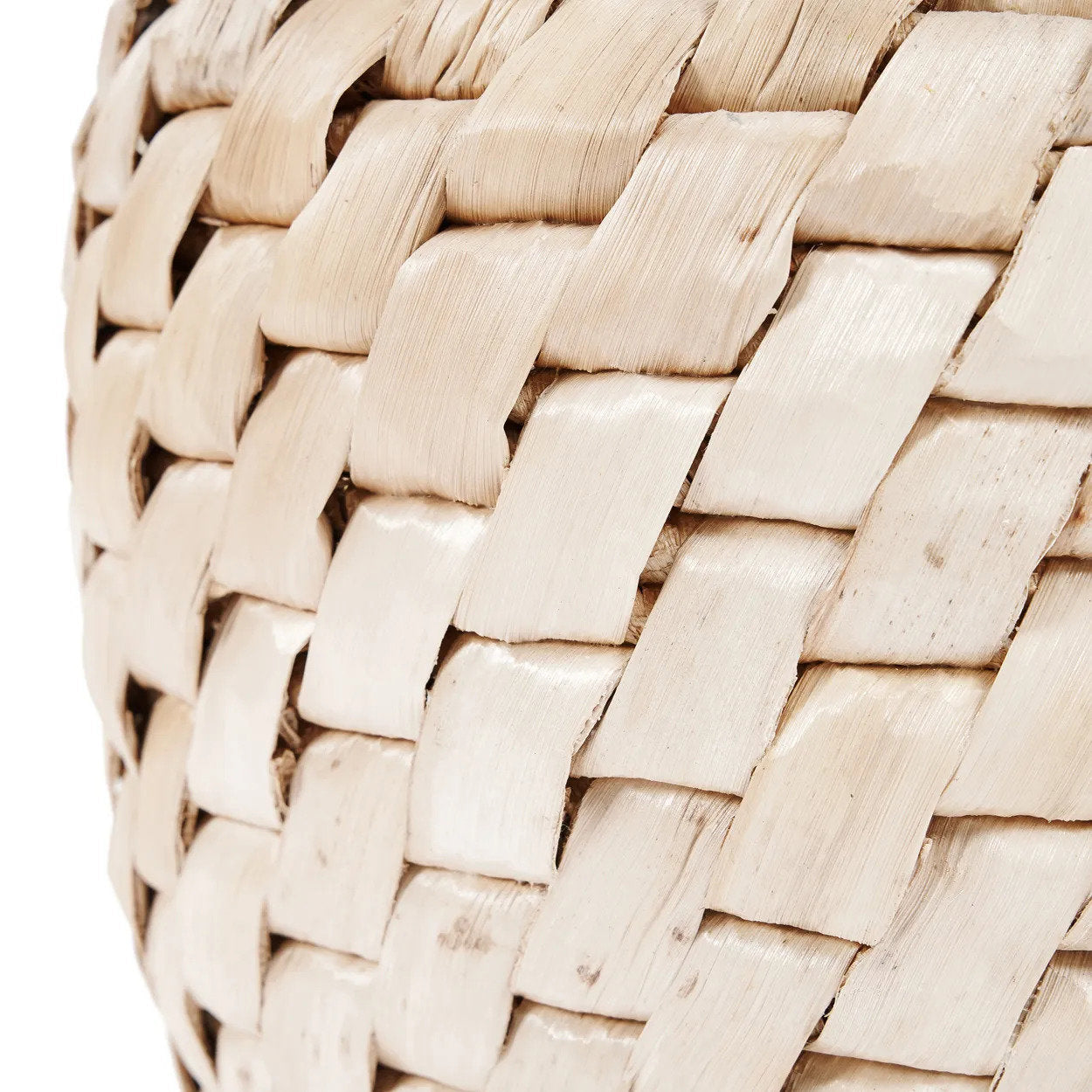 Mand Fiennonte Naturel - Afbeelding 6