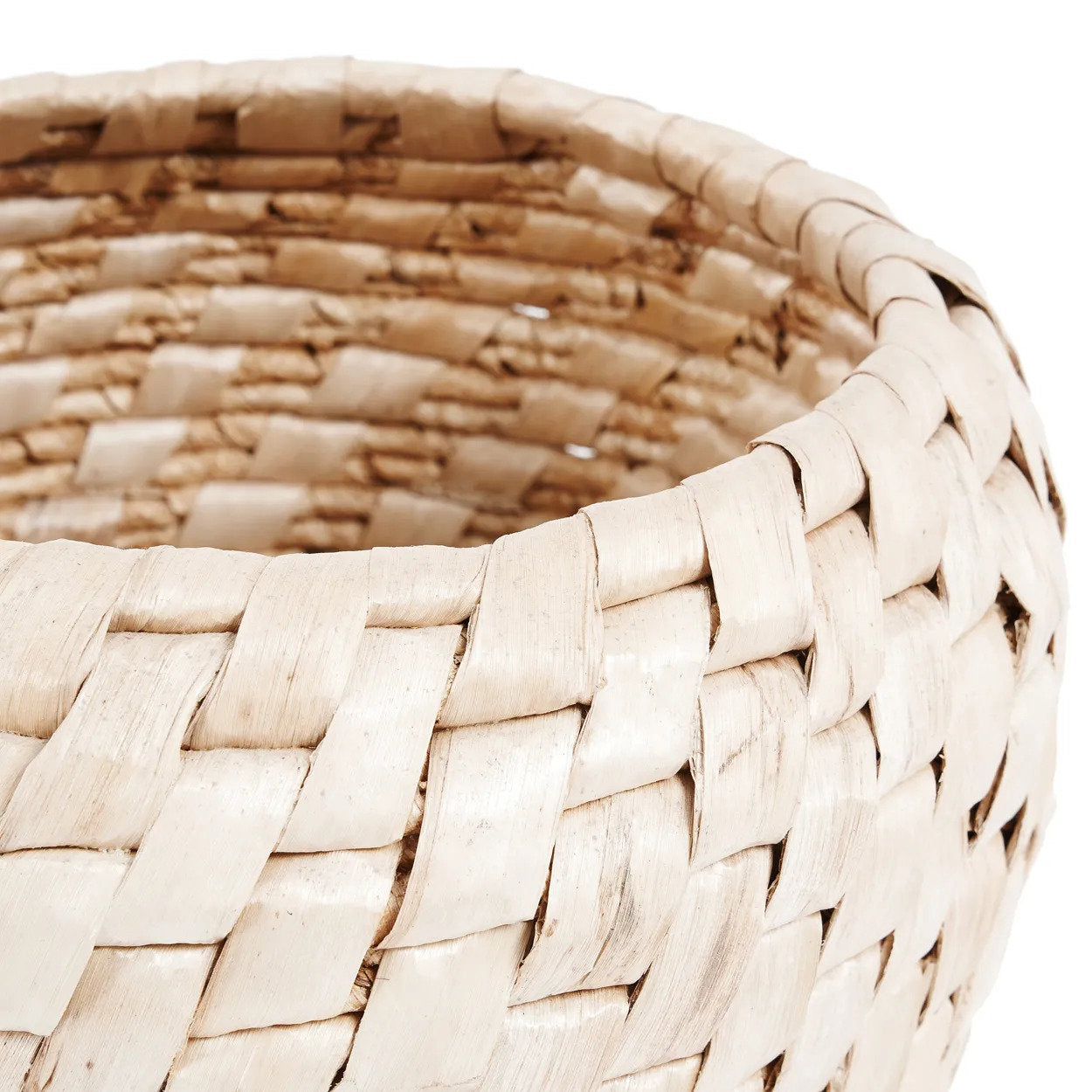 Mand Fiennonte Naturel - Afbeelding 7