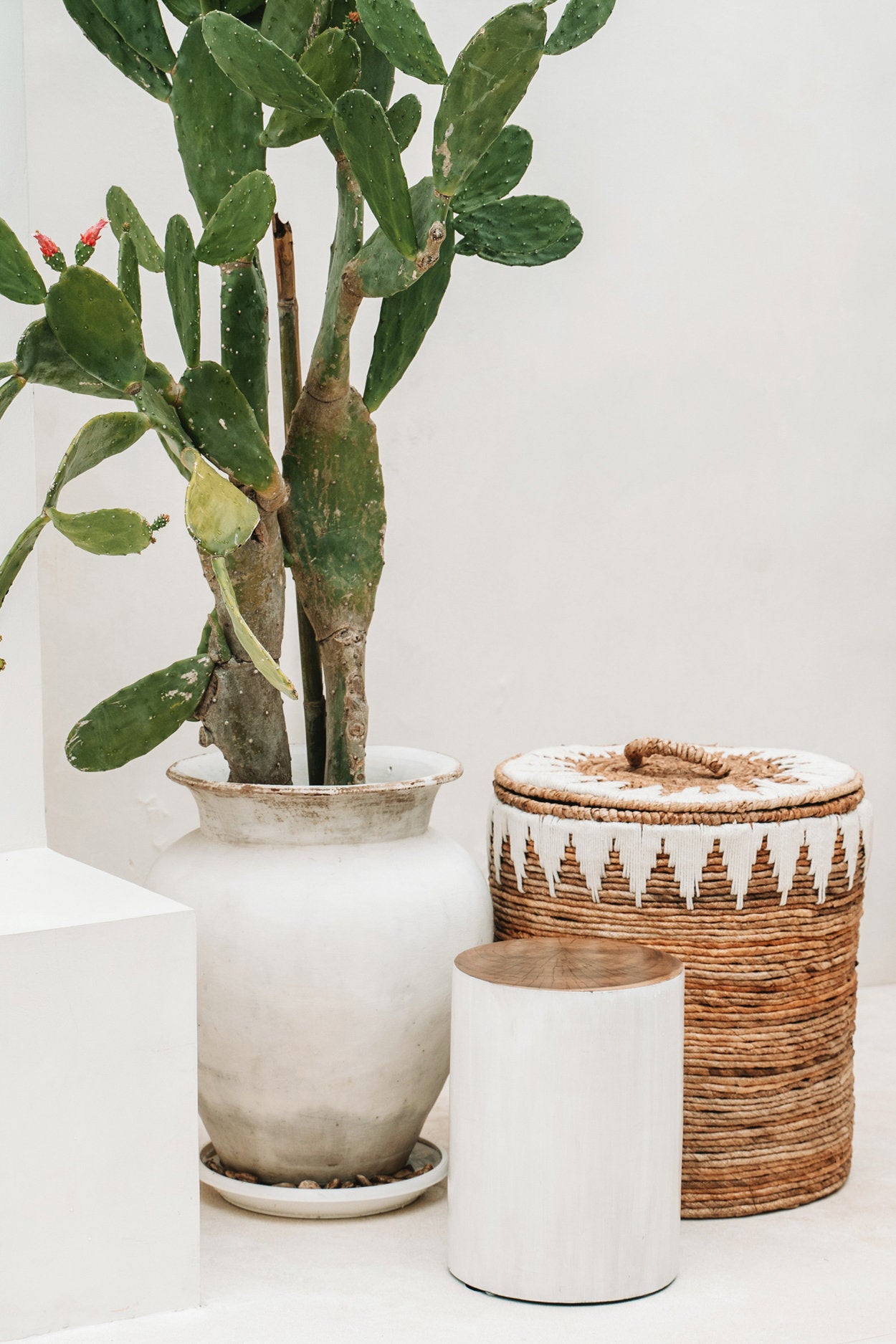 Kruk Faummoro Teak Naturel - Afbeelding 4