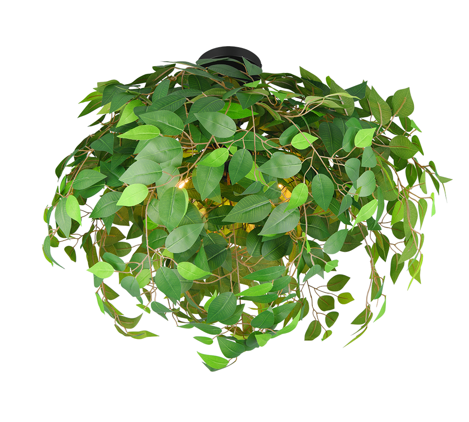 Plafondlamp Bridena Mat Zwart Ø70 cm