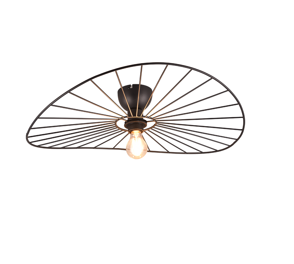 Plafondlamp Trarnund Mat Zwart Ø60 cm