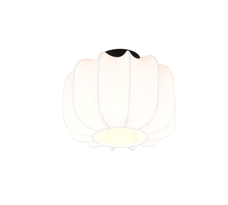 Plafondlamp Saurny Mat Zwart Ø25 cm