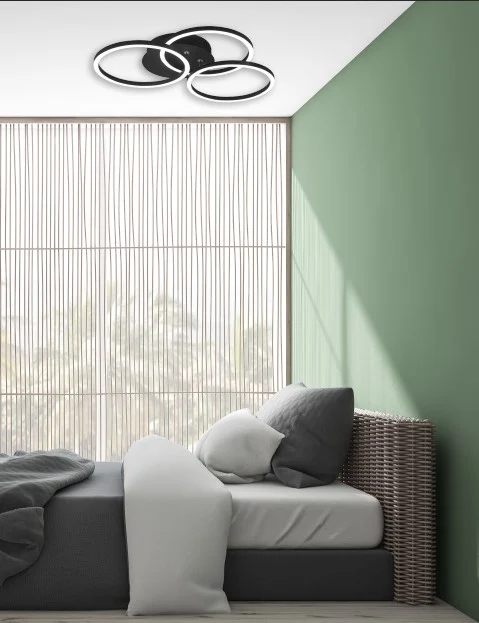 Plafondlamp Prunsond Mat Zwart - Afbeelding 6
