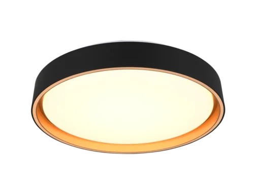 Plafondlamp Barri Wit Ø40 cm met zwart-gouden design en strakke ronde LED-verlichting