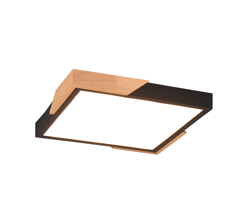 Plafondlamp Slaanun Mat Zwart