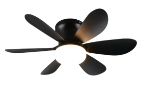 Ventilator Angers Kunststof Mat Zwart