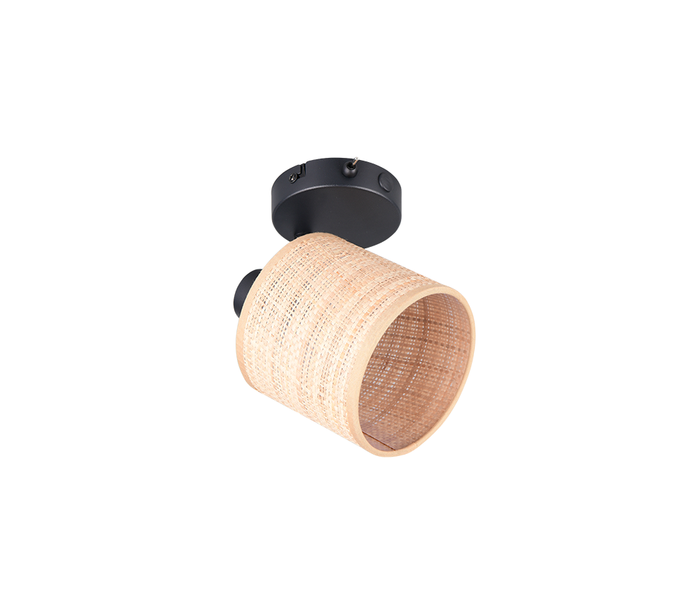 Spot Meestone Mat Zwart Ø10 cm - Afbeelding 5