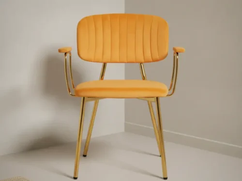 Eetkamerstoel  Boira Oranje fluweel met armleuning set van 2