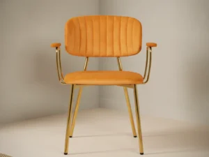Eetkamerstoel  Coana Oranje Goud goudkleurig oranje fluweel set van 2