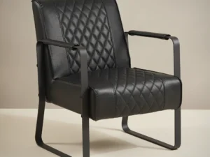 Fauteuil Sturella Zwart