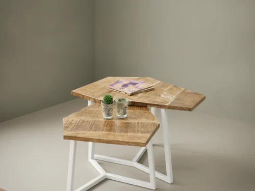 Salontafel Nistero Metaal - Set van 2