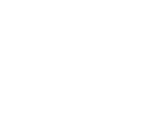 Website van het Jaar