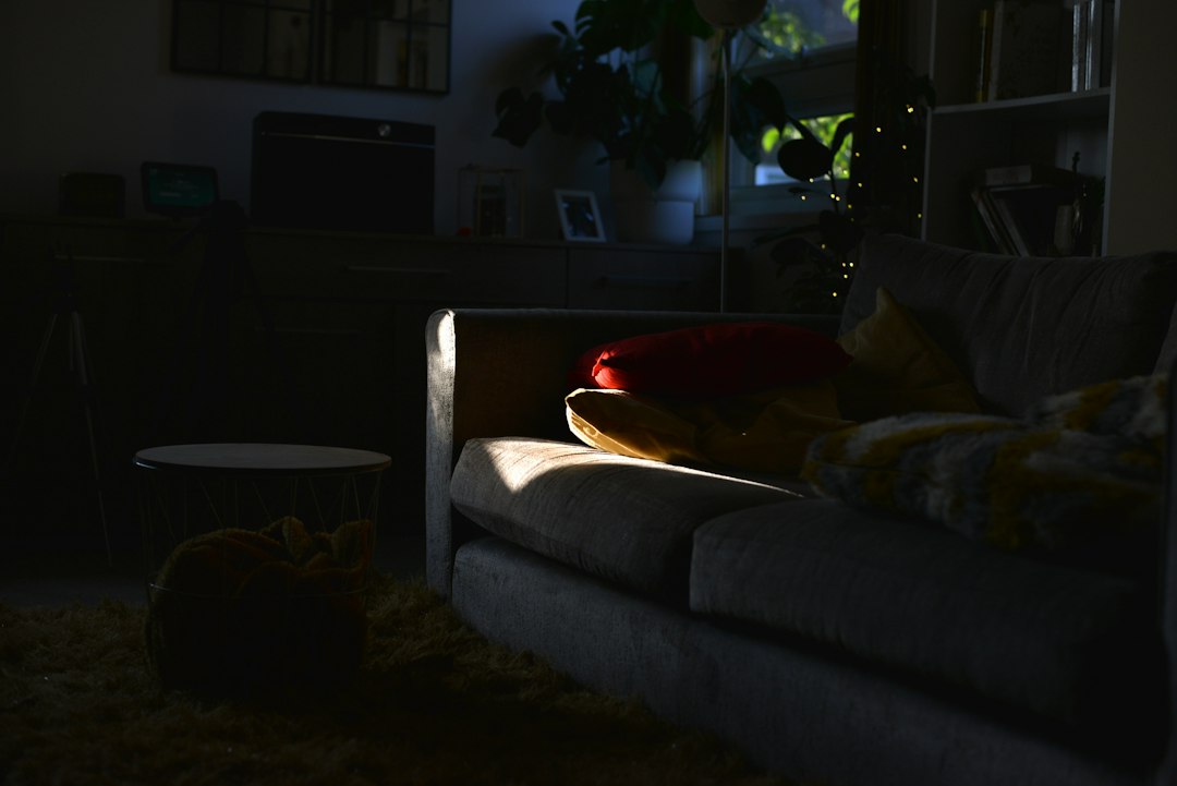 Woonkamer met bank en een zacht hoogpolig vloerkleed op de vloer