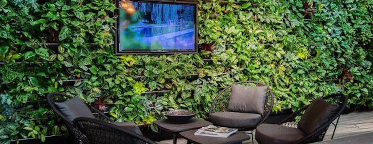 Groene wand met tv, zithoek en zwembad. Sfeervolle groene wanden in een eigentijds interieur.