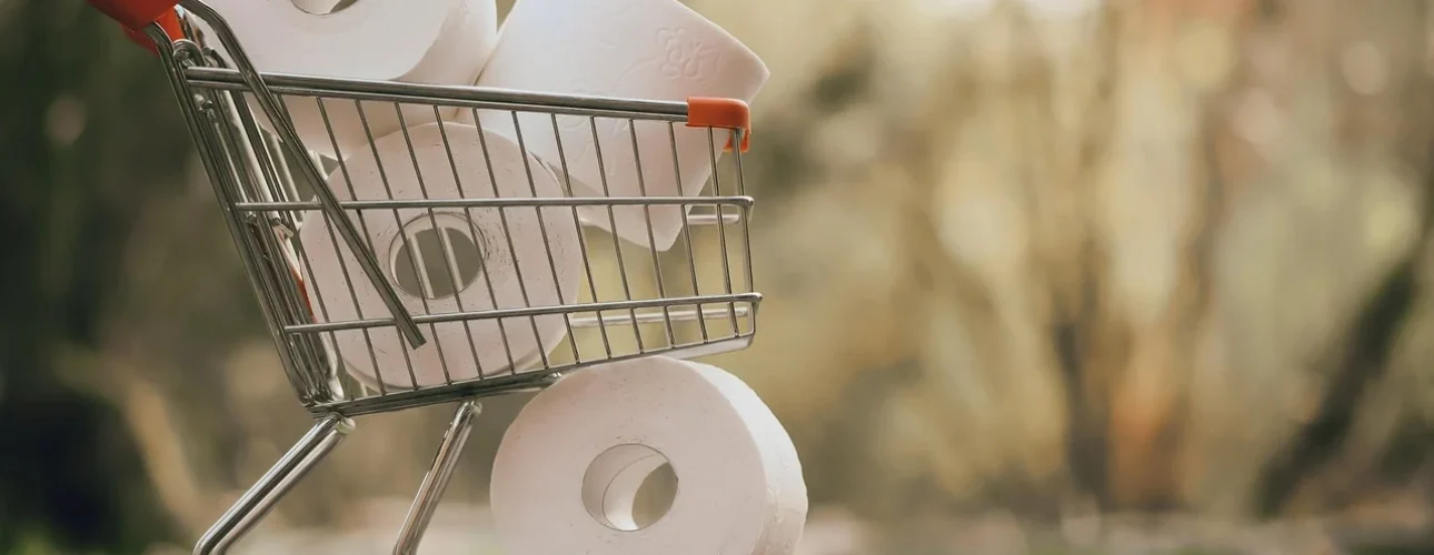 Een kleine winkelwagen gevuld met vier rollen toiletpapier staat buiten op een pad, met een andere rol op de grond vlakbij. De achtergrond is wazig met groen gebladerte en zonlicht.